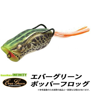 フロッグ スキッパーバグ